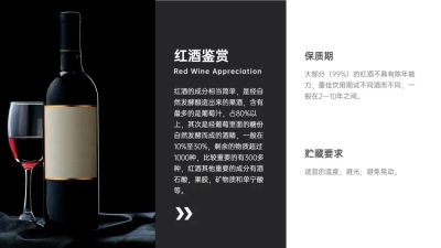 产品展示页模板设计与制作指南 图文结合的视觉传达艺术